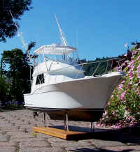 800x32q_4165.jpg (102263 bytes)